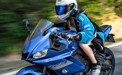 厨房里两只乳头被吸肿了